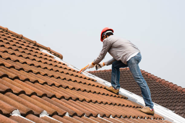 Best Gutter Installation and Repair  in Santa Rosa, CA